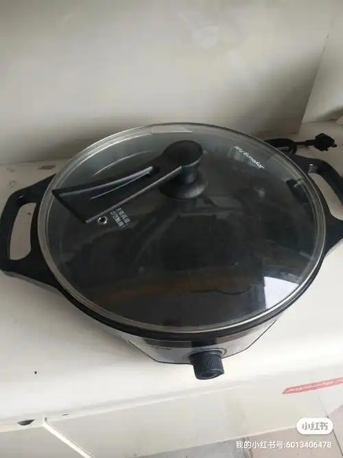 一锅多用九阳电煎锅