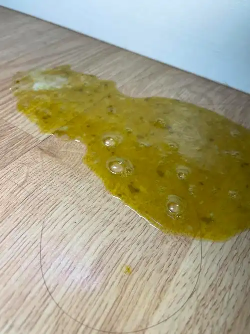 胰腺炎 呕吐出胆汁和黑色黏膜类物质(有图)