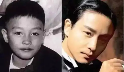 张国荣张学友黎明张柏芝张卫健发哥星仔 → 星爷陈小春邓紫棋蔡少芬