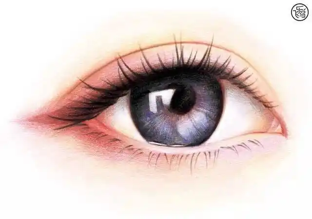 怎样用彩铅画出逼真的眼睛