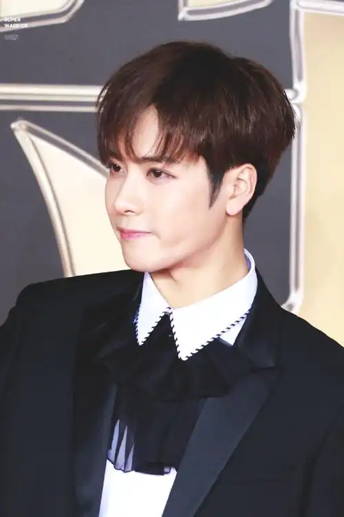 王嘉尔熊猫团发色