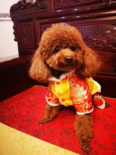 长大啦 - 堆糖,美图壁纸兴趣社区