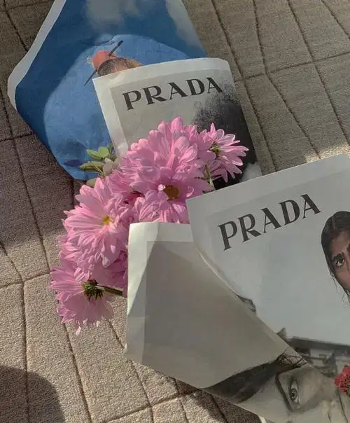 神仙背景图冷淡风ins