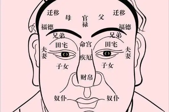 以下4种面相的人先穷后富不论男女聚财能力极强