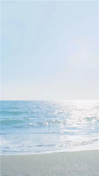 冬天的树林唯美意境雪景风景图片