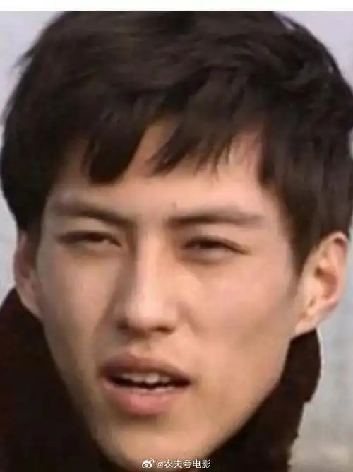 转发接龙开新年##靳东