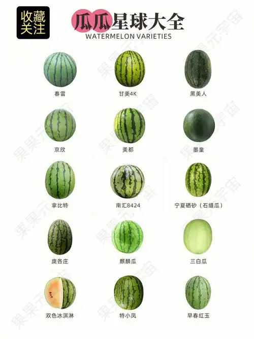 zui全西瓜品种科普分享真的纯干水果知识