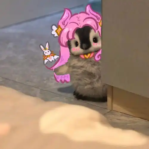 lol探头小企鹅第三弹