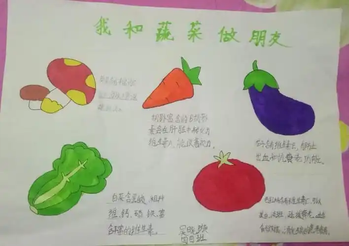 我和蔬菜交朋友