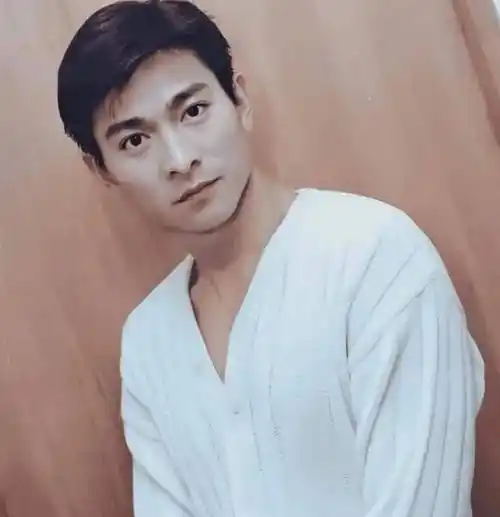 而坊间传言,不少女明星对刘德华芳心暗许,刘德华却始终无动于衷,也