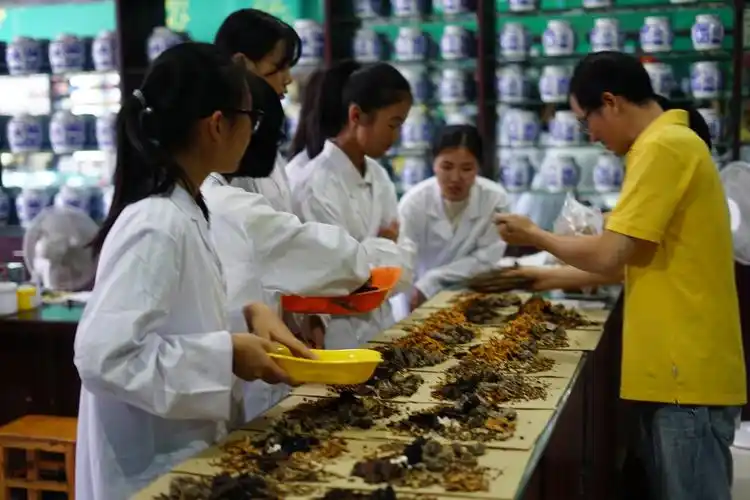 药房中最常见的抓药,实习生们人人必学.