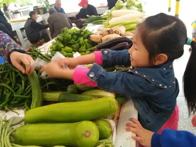 启明星幼儿园大班小朋友(我会买菜)