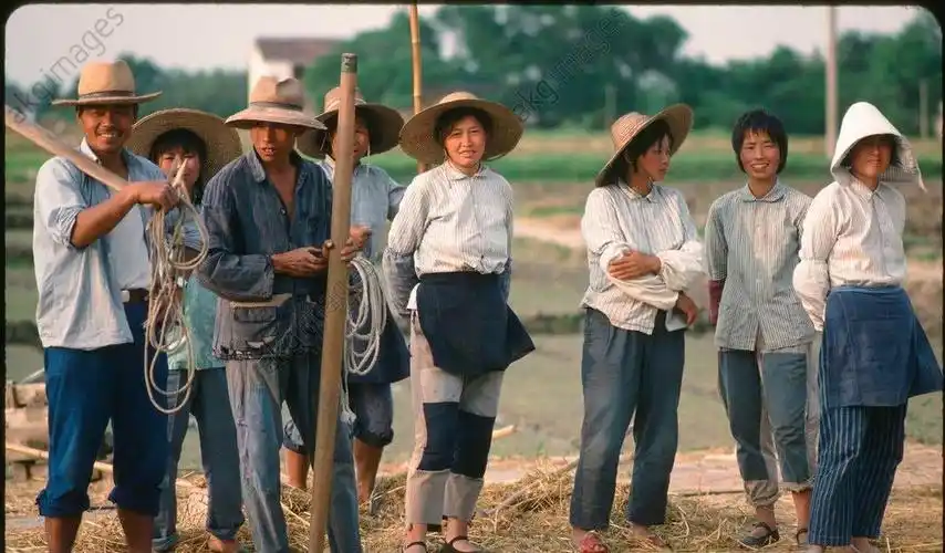 老照片:1982年的苏州农村 农民伯伯种田好辛苦