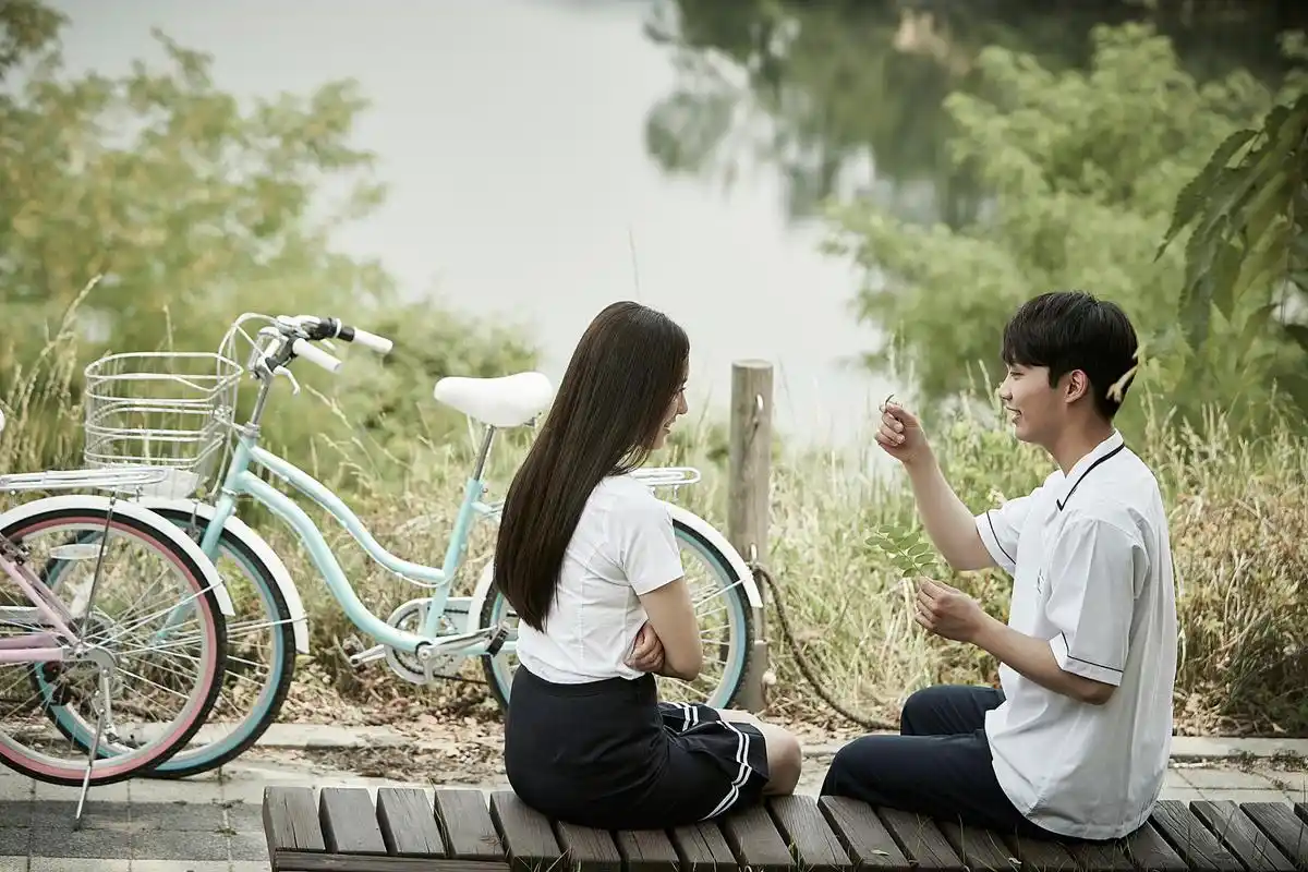 《偷偷藏不住》,一部备受关注的电视剧,讲述了青春校园爱情和幸福家庭