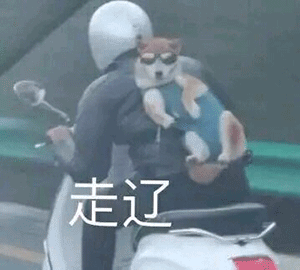 走辽(汪星人表情包)_汪星人表情