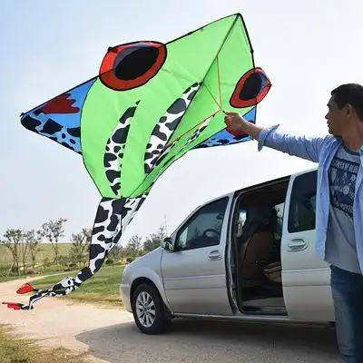 成人华筝大型青蛙长尾初学者易飞线微风风筝