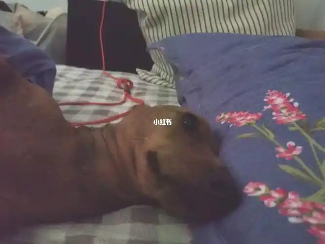 看看谁睡在我旁边