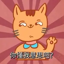 你懂我意思吧猫滑稽黄表情包