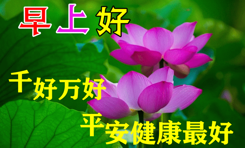 8张秋日最新特漂亮早上好鲜花图片带祝福语 2021最美秋日早安问候图片