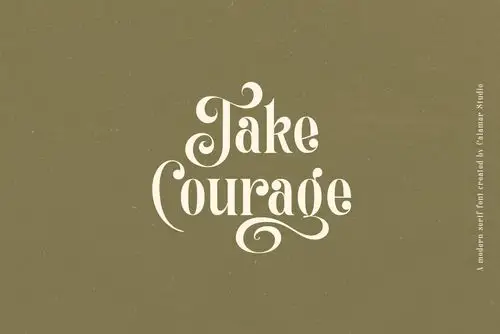 极简杂志海报标题文字设计衬线英文字体素材 solange display serif