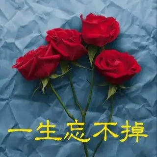 一生忘不掉【无旋】