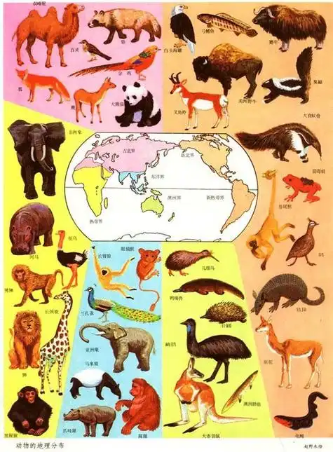 动物地理分布(新闻配图)地球上究竟有多少种生物呢?