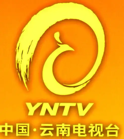 云南卫视