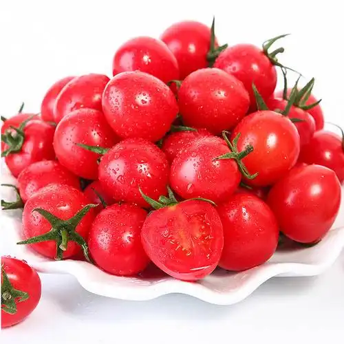 静奶奶山东千禧小西红柿5斤装产地直发25kg产地直发