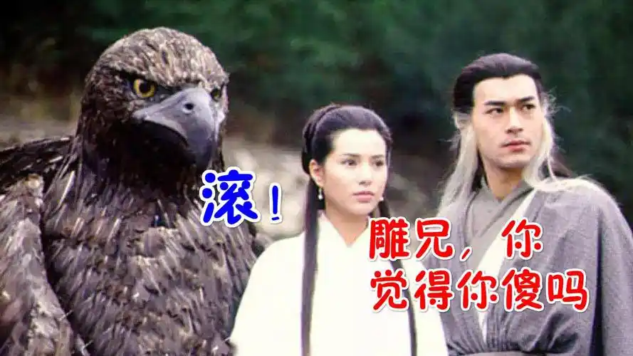 杨过断臂之后遇蛇雕相斗为何救雕而不是帮蛇__财经头条