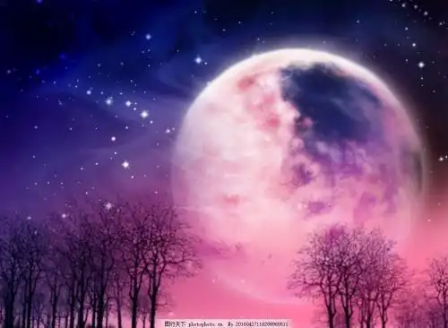 樱花星空图片外加一张二次元图片