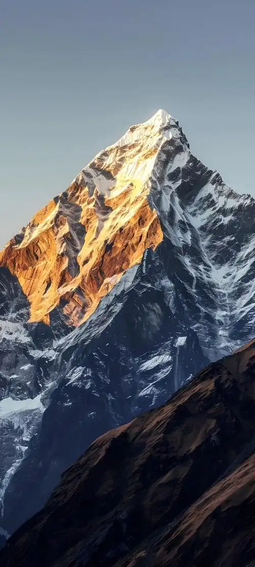 壁纸 风景 1080_2395 竖版 竖屏 手机