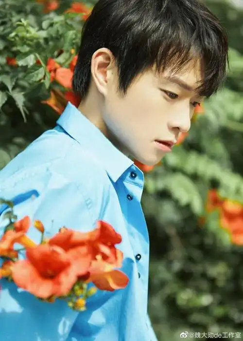 魏大勋是中国内地一位备受瞩目的年轻演员,以其阳光帅气的外貌和出色