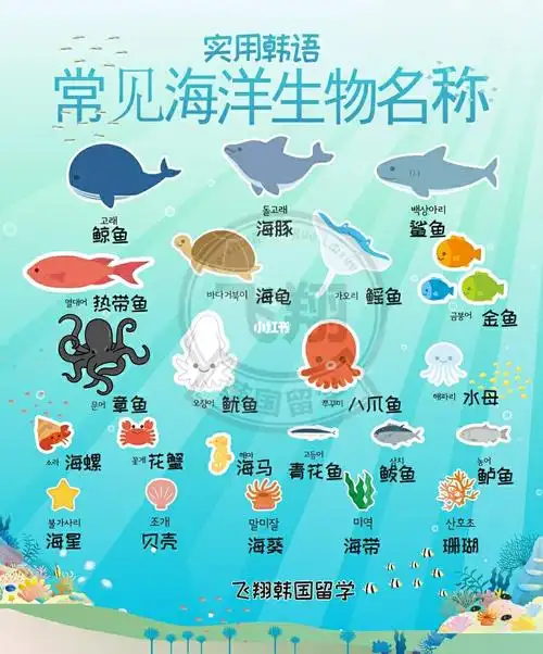 不管是去水族馆,还是去超市买海鲜,或是去沙滩,都能见到各种海洋生物.