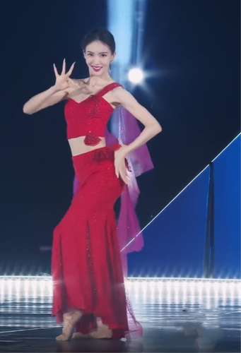 橦舟渡金晨同款舞蹈服新款傣族舞蹈演出服练功服成人傣族表演服女鱼尾