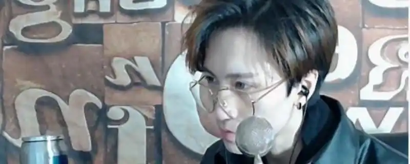 艾辰应援色和口号