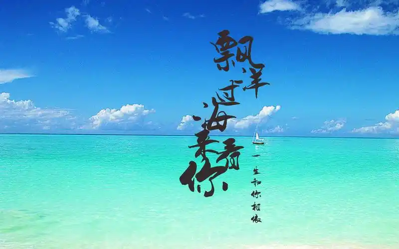 《漂洋过海来看你》英文版天籁之音酥得听不下去!