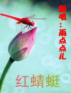 红蜻蜓集团的培训动态