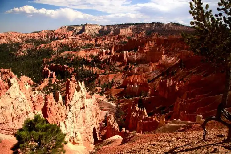 美国西部布莱斯国家公园