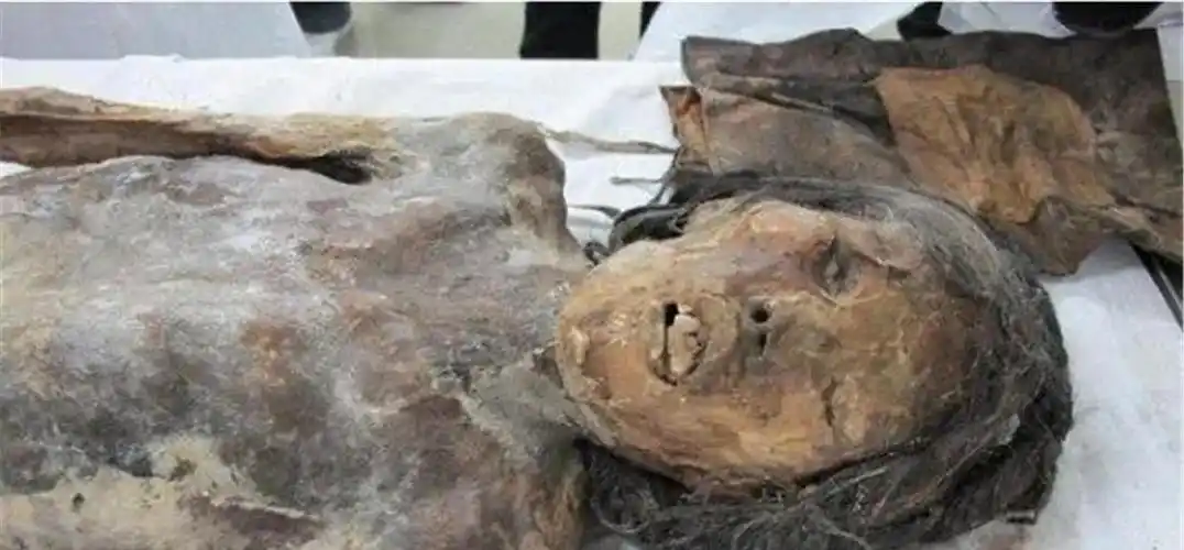 村民修路挖出棺材,里面躺着张牙舞爪的女尸,双腿间有黑色物体!_古墓