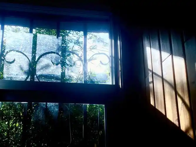 清晨窗外竹影摇曳,淡淡的阳光顺着窗子缓缓浮动