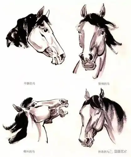彩墨骏马画法步骤