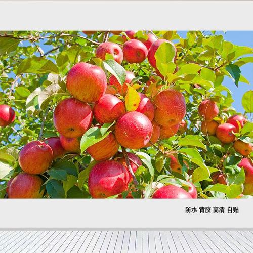 苹果平安喜乐平平安安装饰画客厅厨房超市水果海报自贴画餐厅墙贴