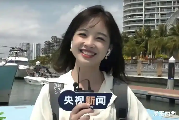 王冰冰|央视记者王冰冰被弃用,未来发展何去何从?