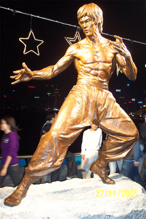 神州之龙_一代宗师李小龙_三水西红的相册_poco空间_poco网(poco.cn)