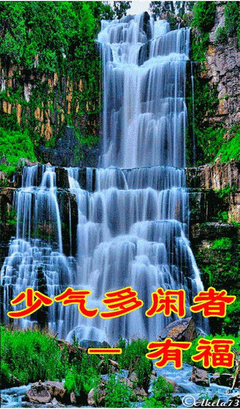 500_850竖版 竖屏gif 动态图 动图