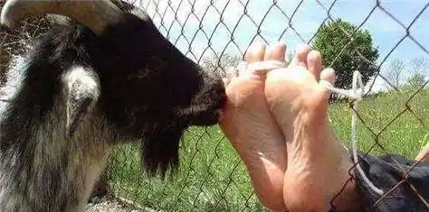 史上最奇葩刑罚,对犯人从不动手,却能让犯人狂笑不