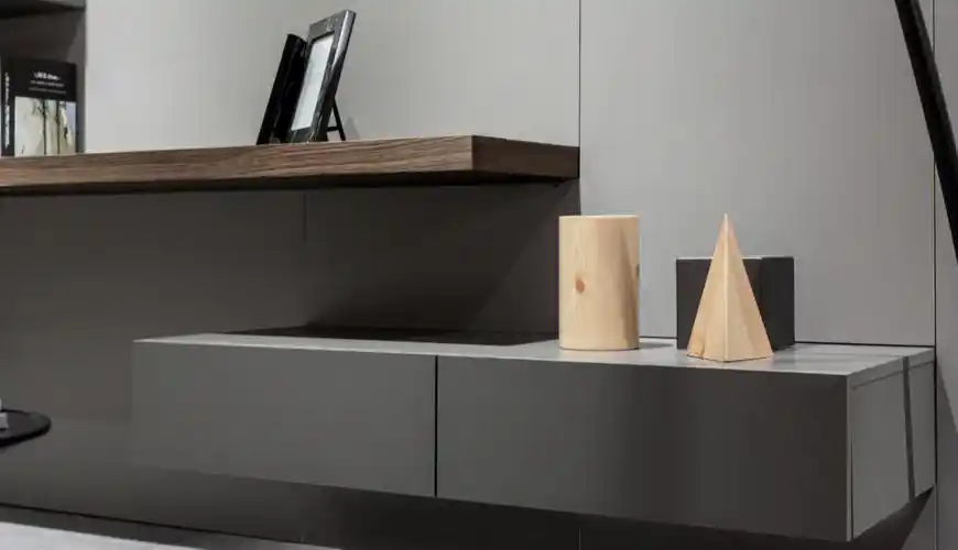 风鸟比佐迪家居定制