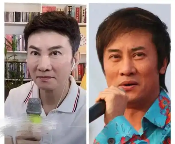 满脸的科技和狠话看到毛宁我笑了他们的变脸毁了多少人的童年