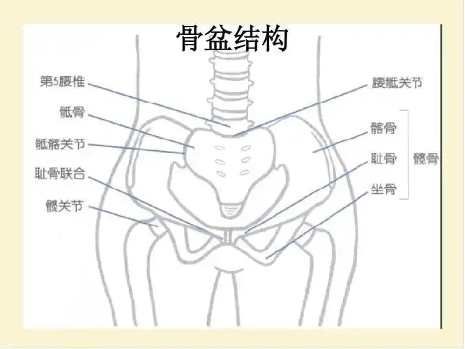 90的女人骨盆移位骨盆移位你需要瑜伽来矫正