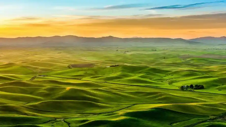 拿到美国绿卡华人在美国从事什么工作心里落差大不大